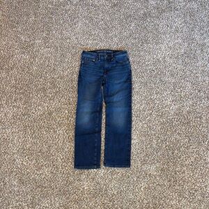 American Eagle Outfitters Dark Blue Straight Jeans